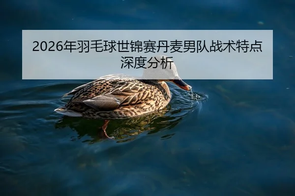 2026年羽毛球世锦赛丹麦男队战术特点深度分析