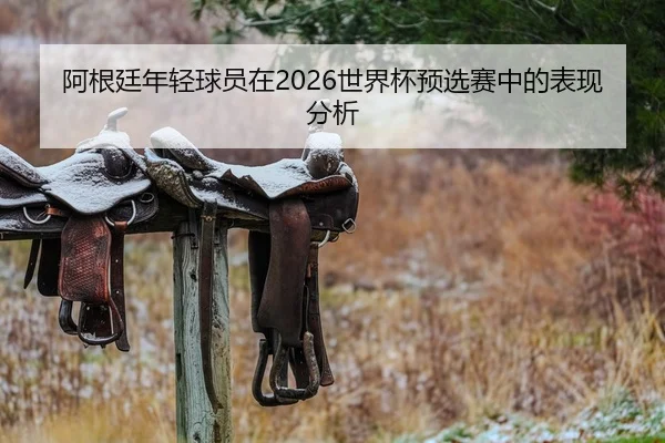 阿根廷年轻球员在2026世界杯预选赛中的表现分析