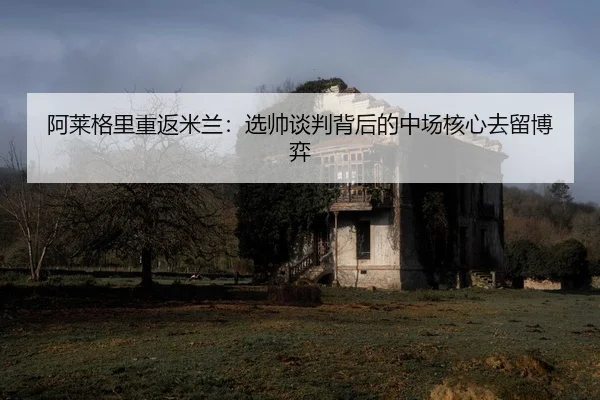 a-lai-ge-li-chong-fan-mi-lan-xuan-shuai-tan-pan-bei-hou-de-zhong-chang-he-xin-qu-liu-bo-yi-2-909.jpg